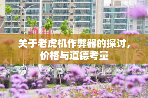 关于老虎机作弊器的探讨，价格与道德考量