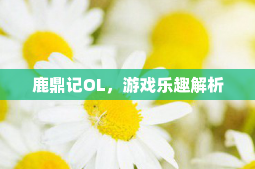 鹿鼎记OL，游戏乐趣解析