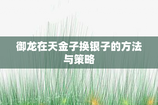 御龙在天金子换银子的方法与策略