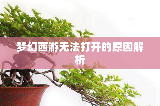 梦幻西游无法打开的原因解析