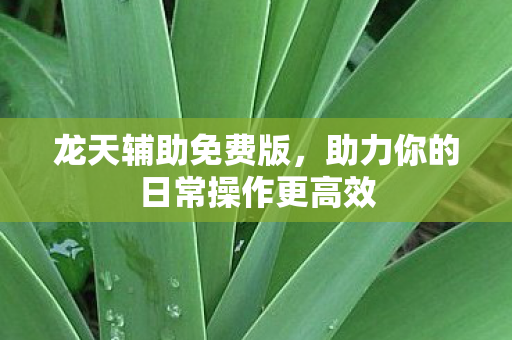 龙天辅助免费版，助力你的日常操作更高效