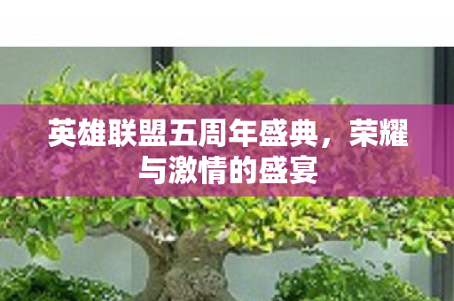 英雄联盟五周年盛典，荣耀与激情的盛宴