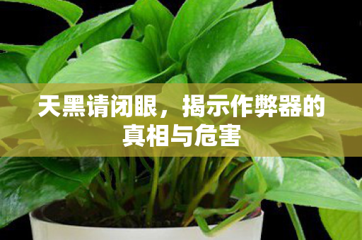 天黑请闭眼，揭示作弊器的真相与危害