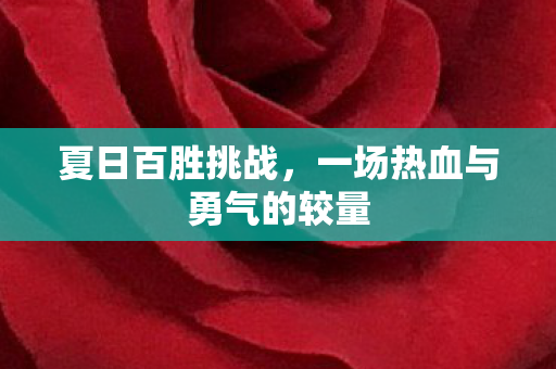 夏日百胜挑战，一场热血与勇气的较量