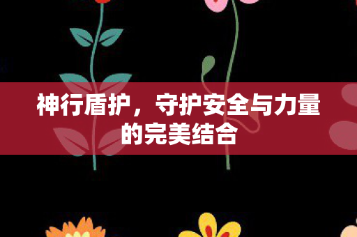 神行盾护，守护安全与力量的完美结合