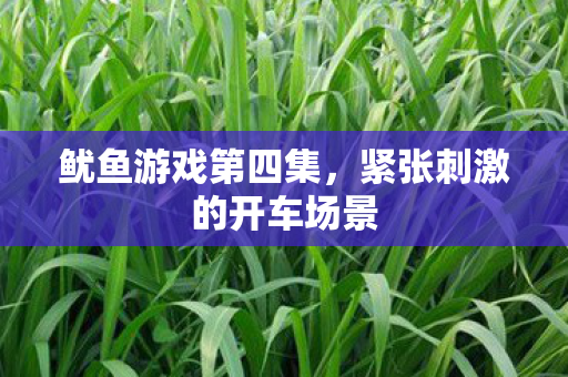 鱿鱼游戏第四集,紧张刺激的开车场景 鱿鱼游戏第四集,紧张刺激的开车场景