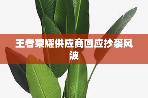 王者荣耀供应商回应抄袭风波