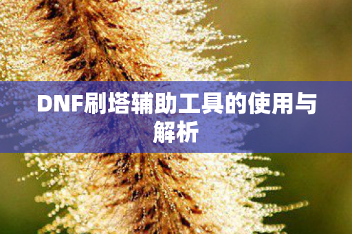 DNF刷塔辅助工具的使用与解析