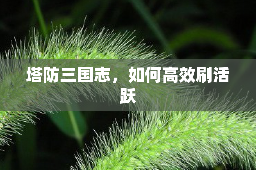 塔防三国志，如何高效刷活跃