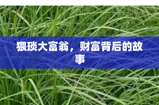 猥琐大富翁，财富背后的故事