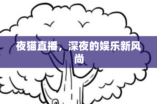 夜猫直播，深夜的娱乐新风尚