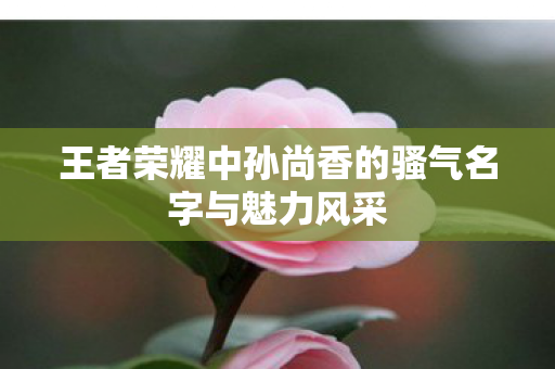 王者荣耀中孙尚香的骚气名字与魅力风采