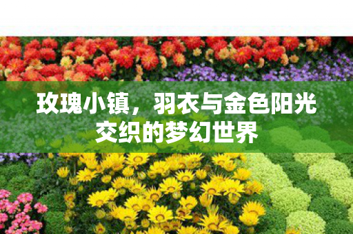 玫瑰小镇，羽衣与金色阳光交织的梦幻世界