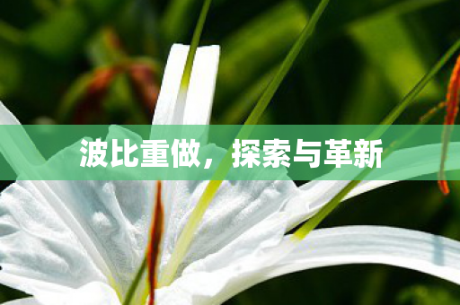波比重做，探索与革新