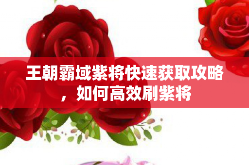王朝霸域紫将快速获取攻略，如何高效刷紫将