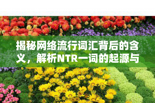 揭秘网络流行词汇背后的含义，解析NTR一词的起源与含义