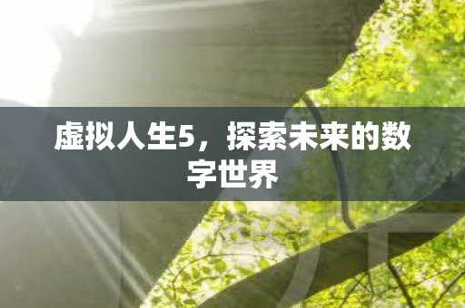 虚拟人生5，探索未来的数字世界