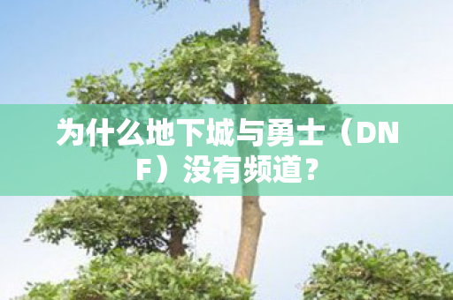 为什么地下城与勇士（DNF）没有频道？