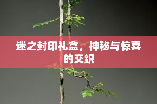 迷之封印礼盒，神秘与惊喜的交织