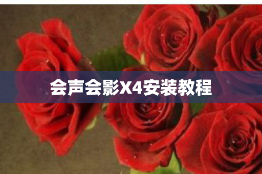会声会影X4安装教程