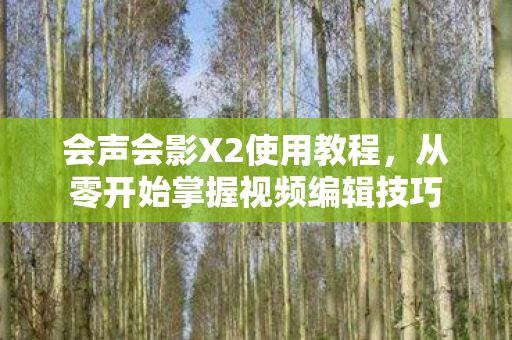 会声会影X2使用教程,从零开始掌握视频编辑技巧 会声会影X2使用教程,从零开始掌握视频编辑技巧