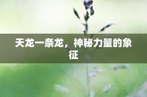 天龙一条龙，神秘力量的象征