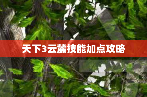 天下3云麓技能加点攻略