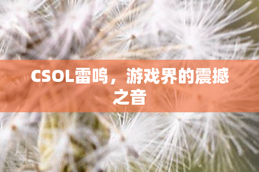 CSOL雷鸣，游戏界的震撼之音