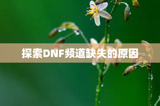 探索DNF频道缺失的原因