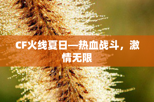 CF火线夏日—热血战斗，激情无限