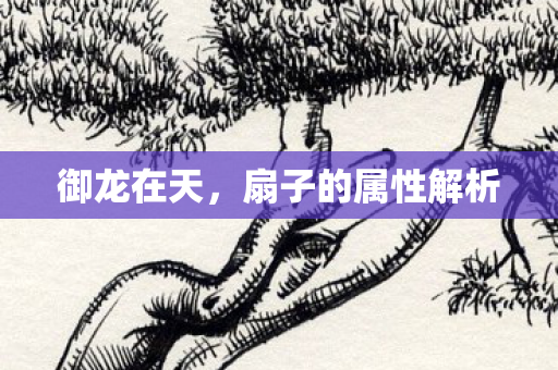 御龙在天，扇子的属性解析