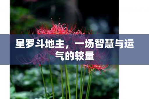 星罗斗地主，一场智慧与运气的较量