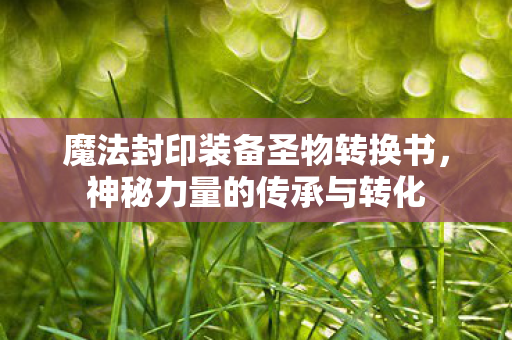 魔法封印装备圣物转换书，神秘力量的传承与转化