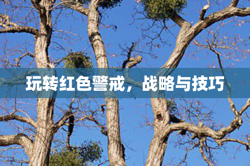 玩转红色警戒，战略与技巧