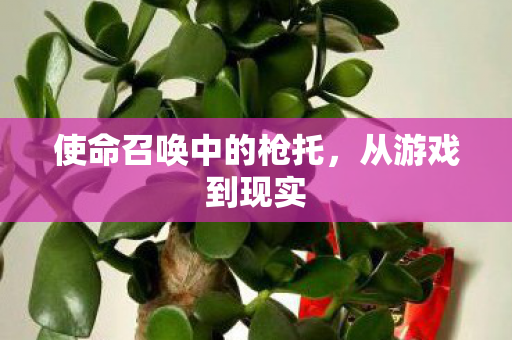 使命召唤中的枪托,从游戏到现实 使命召唤中的枪托,从游戏到现实