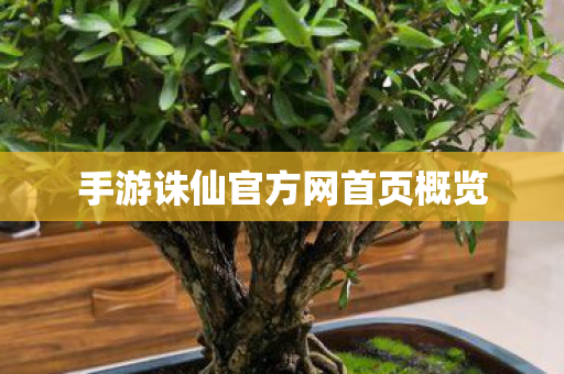 手游诛仙官方网首页概览