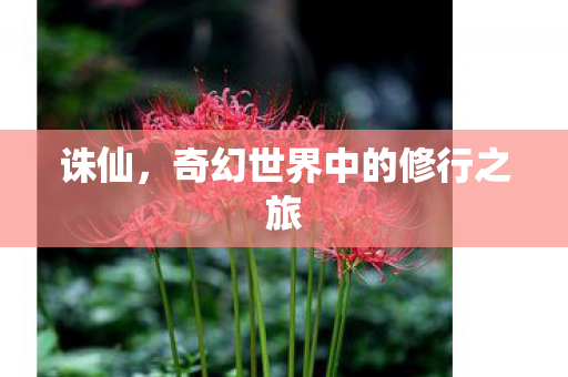 诛仙,奇幻世界中的修行之旅 诛仙,奇幻世界中的修行之旅