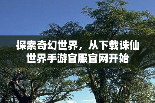 探索奇幻世界，从下载诛仙世界手游官服官网开始