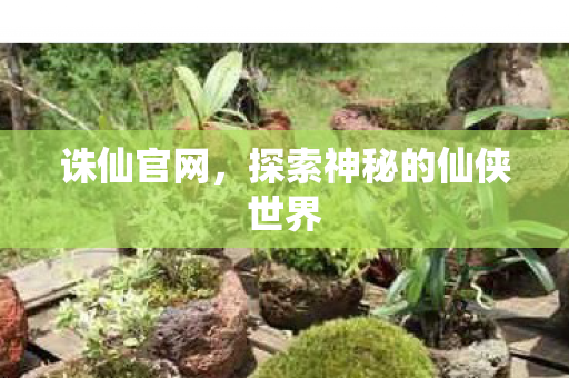 诛仙官网，探索神秘的仙侠世界