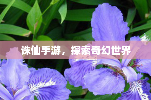 诛仙手游，探索奇幻世界