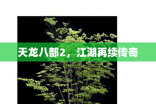 天龙八部2，江湖再续传奇