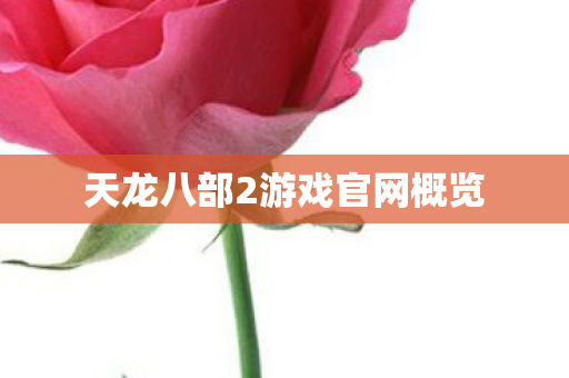 天龙八部2私服,天龙私服,tlbbsf游戏官网概览