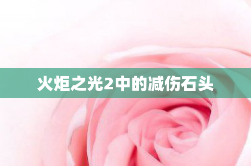 火炬之光2中的减伤石头 火炬之光2中的减伤石头