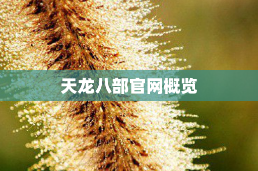 天龙八部官网概览