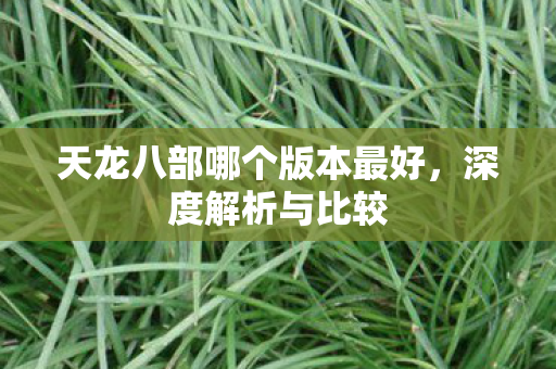 天龙八部哪个版本最好，深度解析与比较