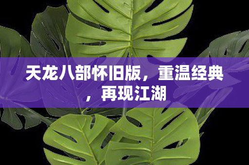 天龙八部怀旧版,重温经典,再现江湖 天龙八部怀旧版,重温经典,再现江湖