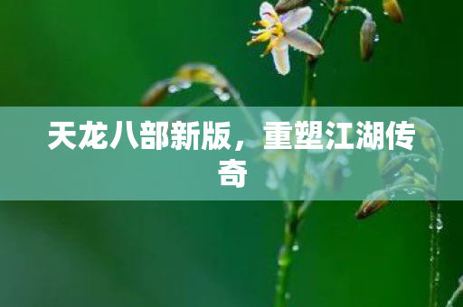 天龙八部新版，重塑江湖传奇