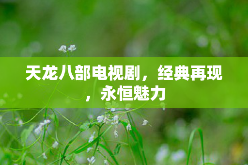 天龙八部电视剧，经典再现，永恒魅力
