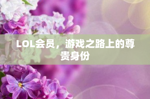 LOL会员，游戏之路上的尊贵身份