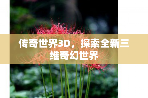 传奇世界3D，探索全新三维奇幻世界